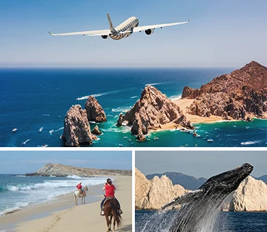 Incredible tourist destination with accessible flights, beach rides, and nature, perfect for combining a relaxing vacation with affordable dental treatments.