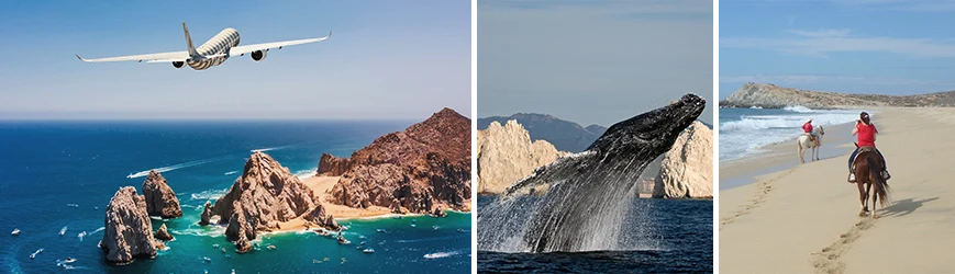 Beautiful landscapes, whale watching, and horseback riding ideal for enjoying a relaxing vacation during dental tourism.